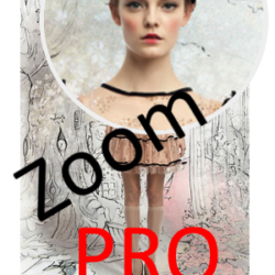 Увеличьте продажи с ZoomPRO! Модуль зуммирования и современные инструменты маркетинга помогут оптимизировать управление клиентами и достичь эффективности онлайн-продаж.