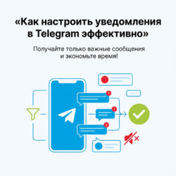 Настройте уведомления в Telegram и получайте только важные сообщения! Это упростит вашу жизнь, сэкономит время и повысит эффективность общения. Узнайте, как оптимизировать свои настройки, перейдя по ссылке!